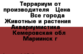 Террариум от производителя › Цена ­ 8 800 - Все города Животные и растения » Аквариумистика   . Кемеровская обл.,Мариинск г.